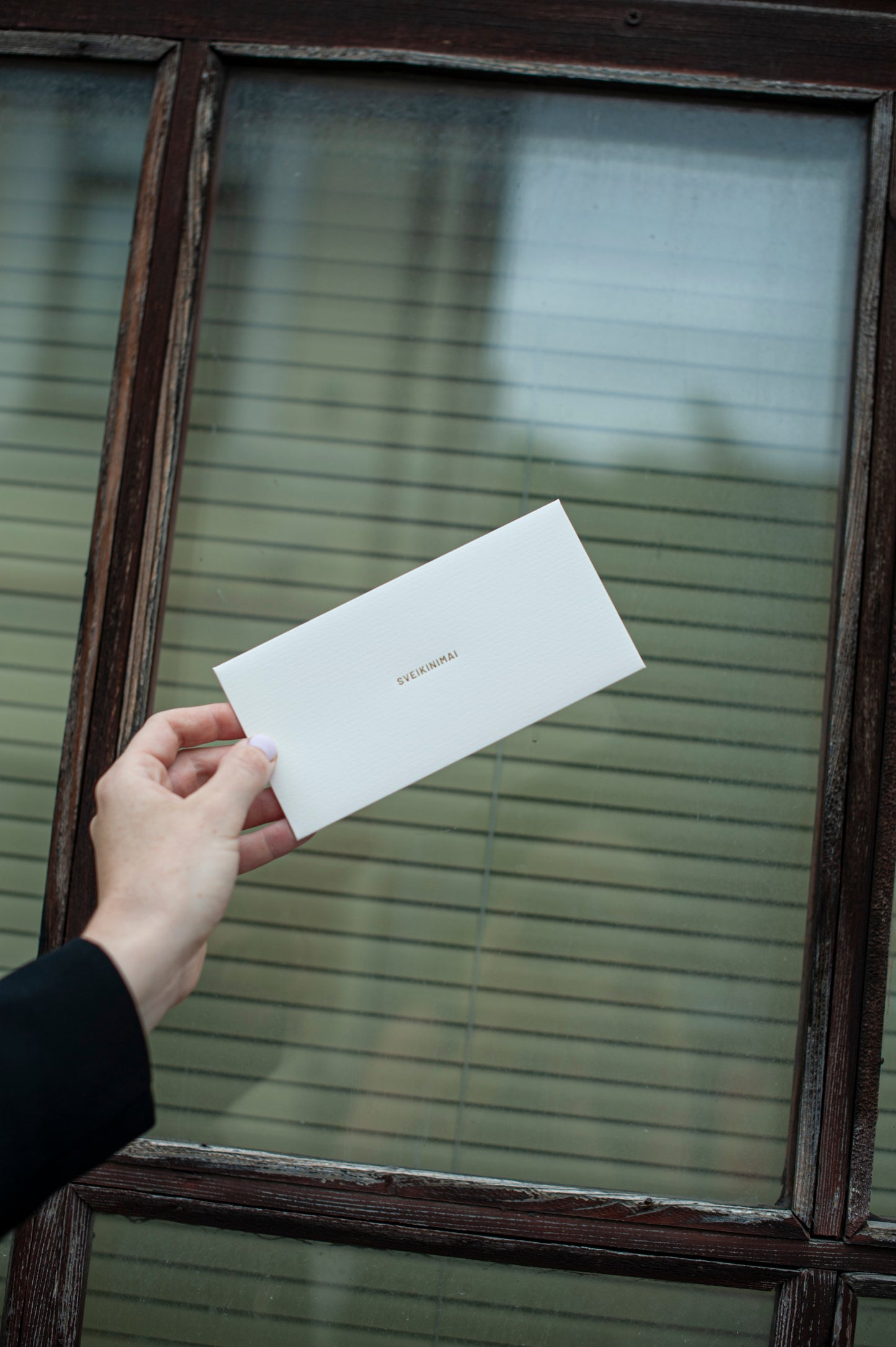 Gift envelope SS'24 GOLD WHITE /high quality foiling/