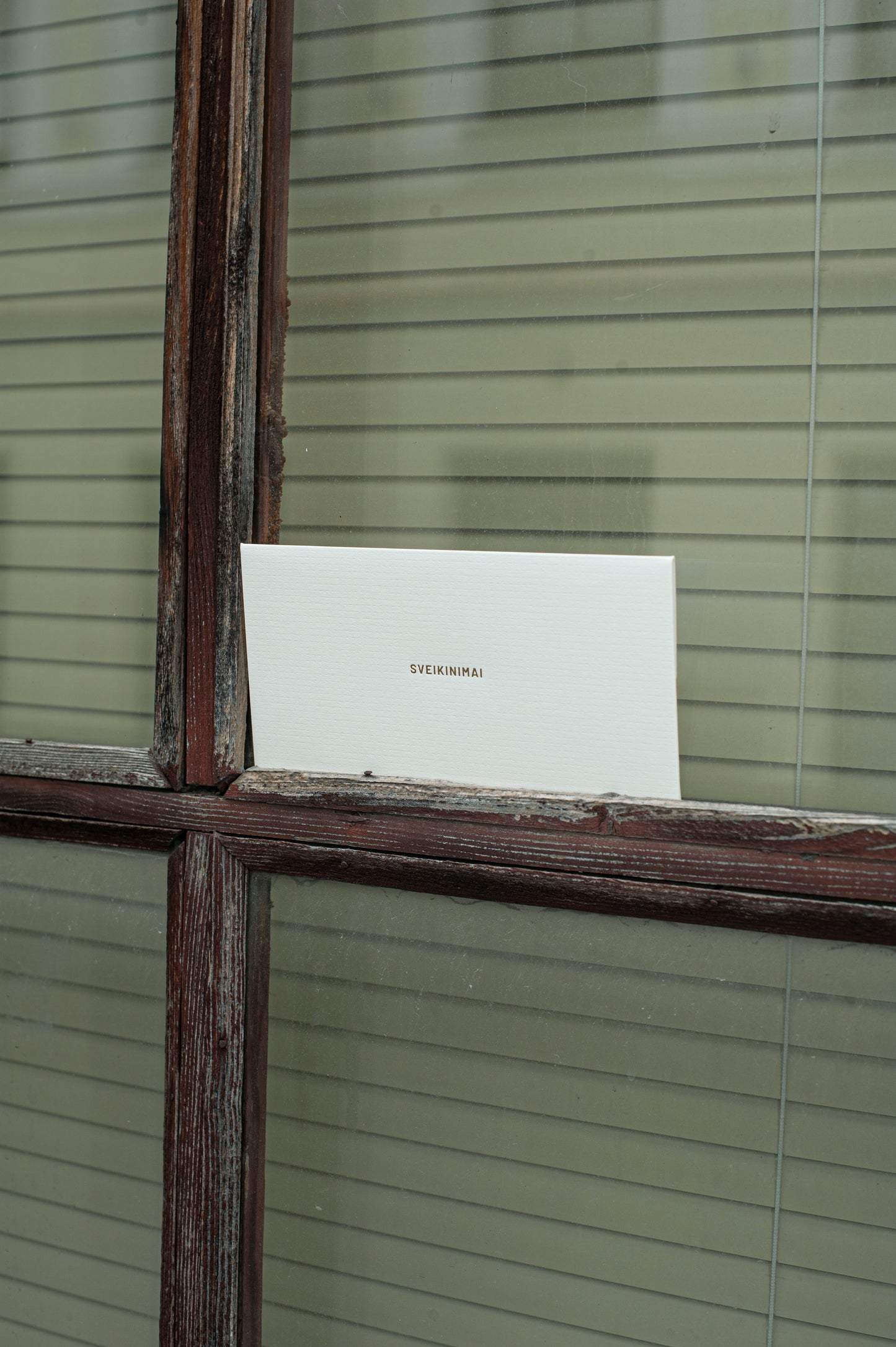 Gift envelope SS'24 GOLD WHITE /high quality foiling/